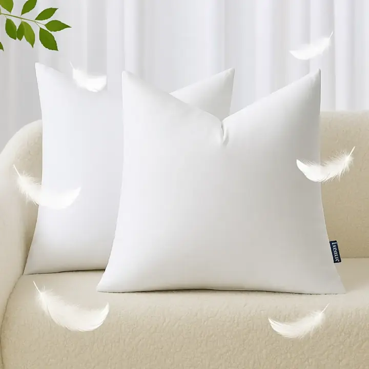 Filled Cushion